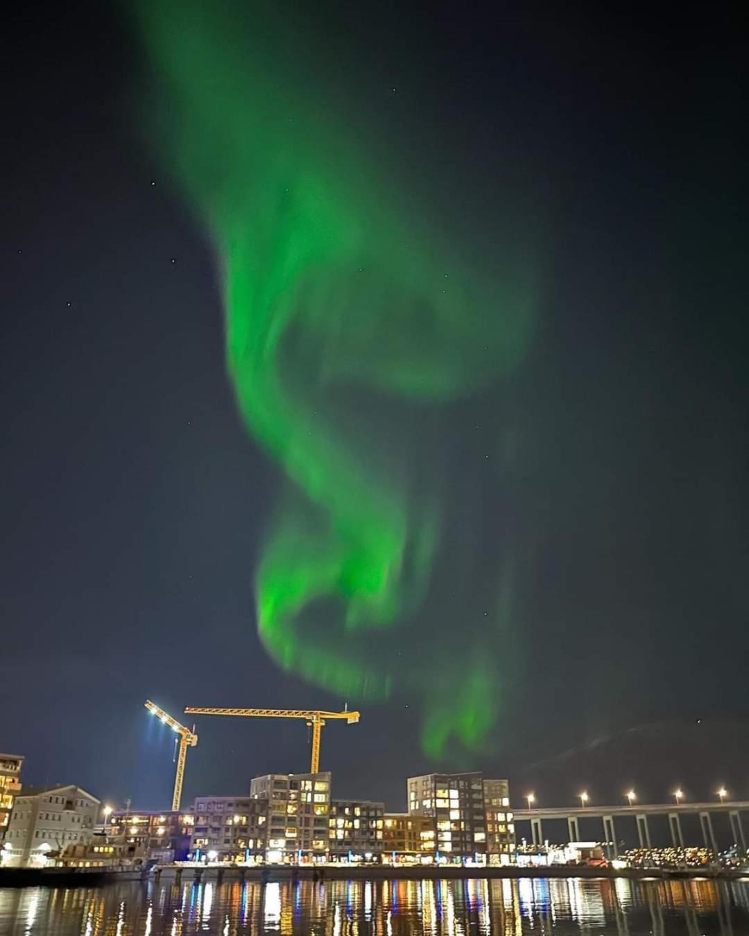 The Seaview - Harbour! * Tromsø